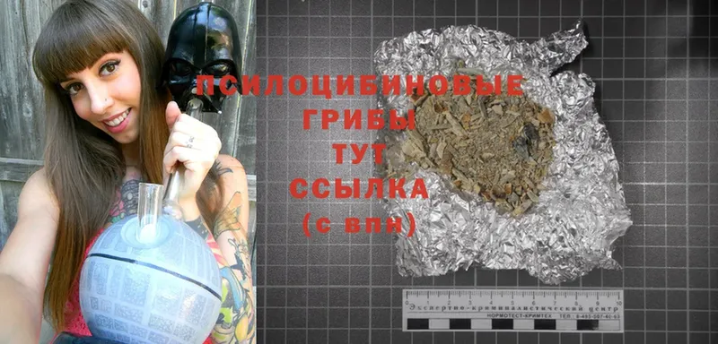 площадка телеграм  Корсаков  Псилоцибиновые грибы Psilocybe 